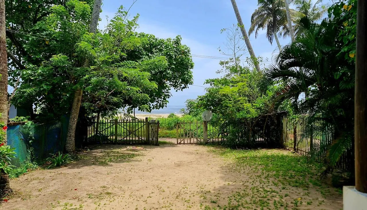 The Frangipani Marari Beach Mararikulam
