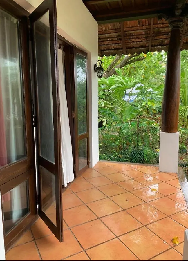 Tatil Evi The Frangipani Marari Beach Mararikulam Hindistan